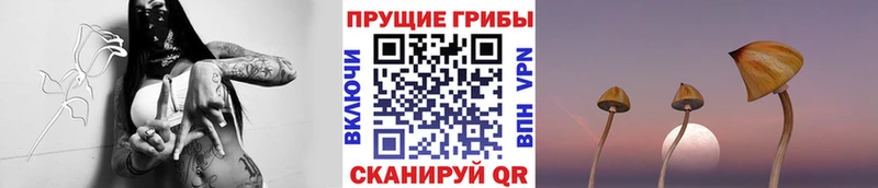 Купить закладки  Можга  Галлюциногенные грибы ЛСД 
